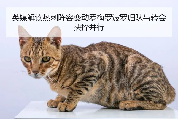 英媒解读热刺阵容变动罗梅罗波罗归队与转会抉择并行